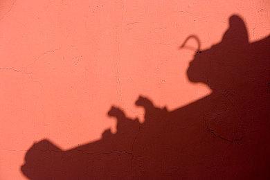 《妮姬：胜利女神》忍者怪盗亮相 优雅大雷少女